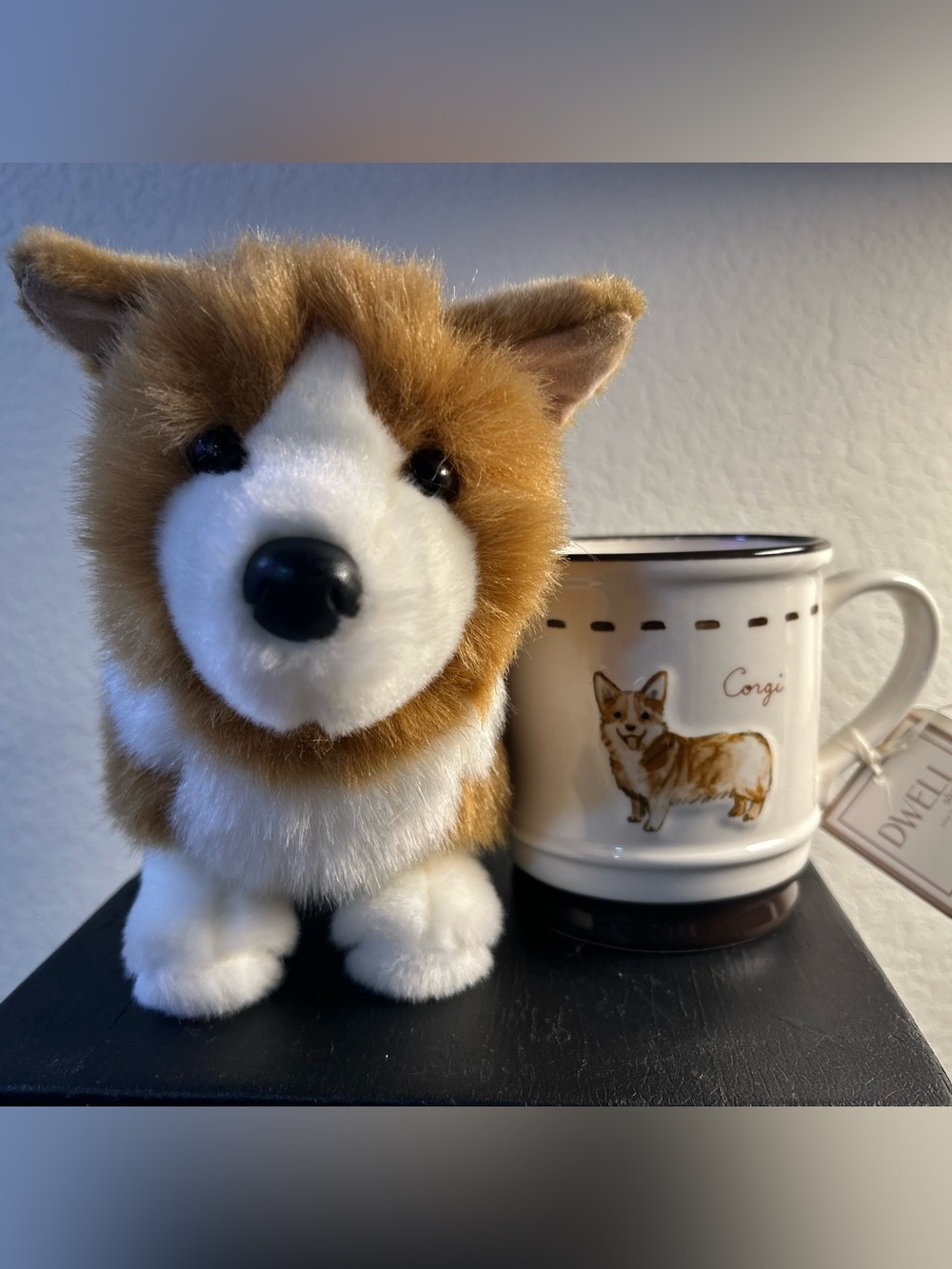 Douglas Plush Corgi & Mug Bundle